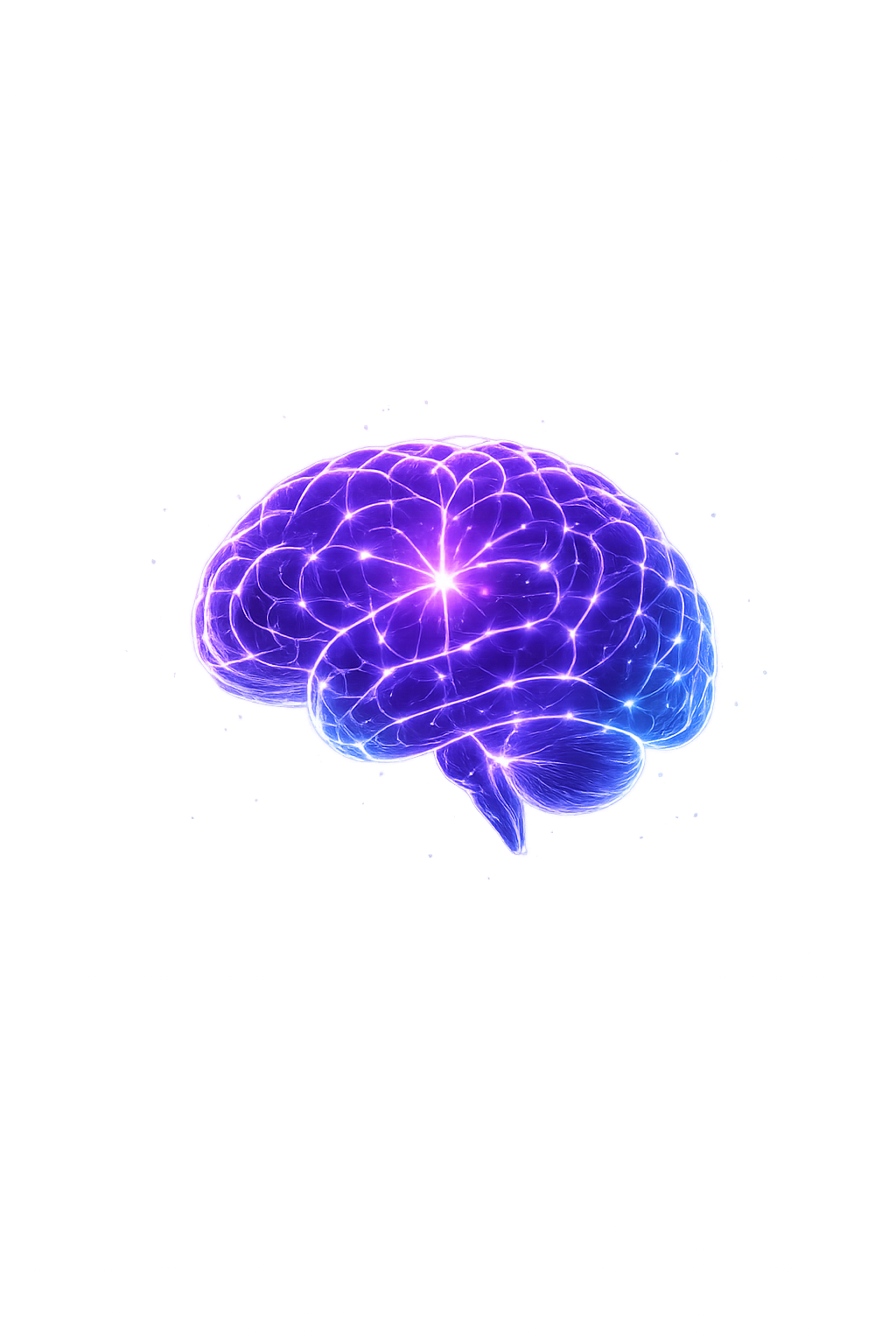 Brain